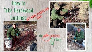 How to Take Hardwood Cuttings in Spring