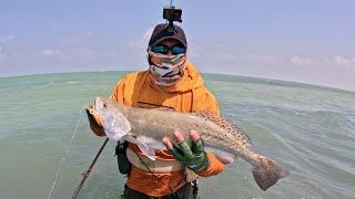 Trout & Reds on a Lower Laguna Madre Sand Bar