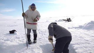 ᑐᙵᓱᒋᑦ ᖃᕐᒪᑦᑎᓐᓄᑦ  - Welcome To Our Qammaq