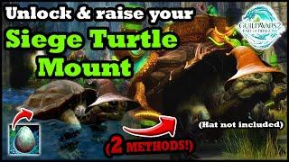 How to Get the Siege Turtle Mount - 2 Methods - Guild Wars 2 Guide