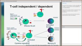 Webinar - Immunizing Immunocompromised Adults (Immunize Canada)