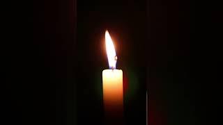 You are the #LIGHT