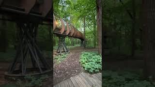 Как говорит лес? И все это в центре Москвы! #travel