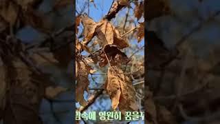 하서영 가수 돌고돌고속고 [보통인생]