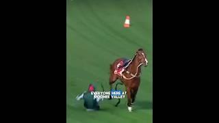 VIA SISTINA TRACK GALLOP COX PLATE 2024 #horseracing #sportshorse