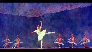 "Don Quixote". 7th Ballet Festival. Kremlin ballet. "Дон Кихот". Кремлевский балет.