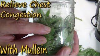 How To Make Mullein Tincture & It's Uses