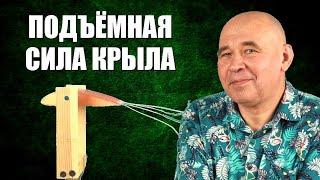 Подъёмная сила крыла