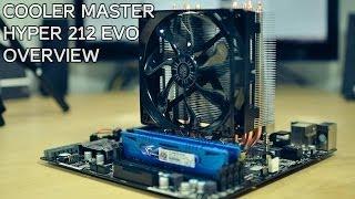 Best CPU Cooler! | Cooler Master Hyper 212 EVO Overview & Install