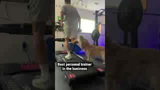 Treadmill running with a dog. #treadmill #running #dog