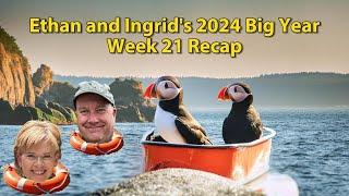 Ethan and Ingrid's 2024 Big Year (Week 21)