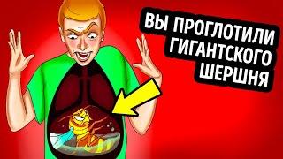 Что, если проглотить шершня и он вас ужалит?