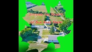 Uncover this Rare Farm in the City Simcoe, Norfolk  Price 1.99 million$