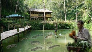 Single Old Man Life, Stocking Fish, Harvesting Bamboo Shoots, Harvesting Pineapples, Building Old