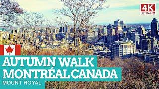 MONTRÉAL Canada | Mount Royal | 4K Autumn Walking Tour NON-STOP