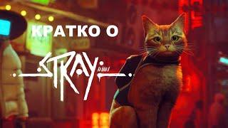 КРАТКО О STRAY