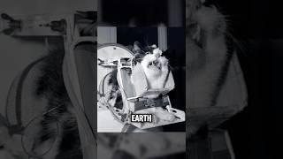 Rare Photos That Will Intrigue Your Mind! 