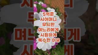 시어머니를 무시한 며느리에게 시원하게 복수했습니다  #며느리썰 #고부갈등 #인생사연 #시어머니썰 #사이다썰 #라디오사연