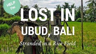 I'm Lost in a Rice Field in Ubud, Bali!