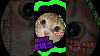 개인소장용 모버터링 #shorts