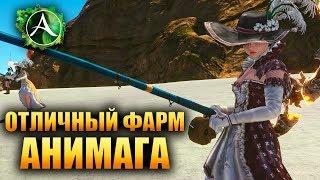 ArcheAge - ФАРМ СФЕР АНИМАГА!