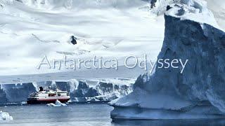 Antarctica Odyssey | Revealing the Majestic Ice and Wildlife (Excerpt)