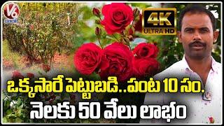 Man Earns Huge Profits With Rose Flowers Farming | Ranga Reddy | V6 News