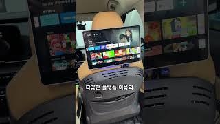 카니발 모니터 대박 좋은데?