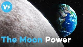 How does the Moon affect the Earth? Spectacular lunar phenomena between tides and animal migrations