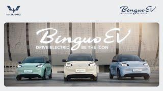 Wuling BinguoEV - Drive Electric, Be The Icon