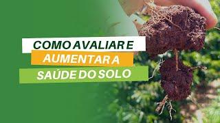 Como avaliar e aumentar a saude do solo