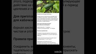советы дачникам