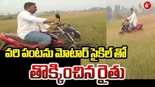 Suryapet District Farmer Latest News || వరి పంటను మోటార్ సైకిల్ తో తొక్కించిన రైతు || 6TV