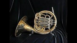 Verus V Double Horn - Looks Nice, Great Player