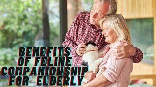 The Benefits of Feline Companionship for the Elderly