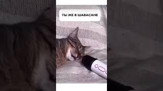 школа йоги онлайн
