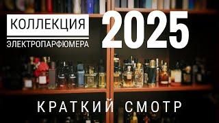 Коллекция ЭлектроПарфюмера в 2025 году  #электропарфюмер #маркинпарфюмрф