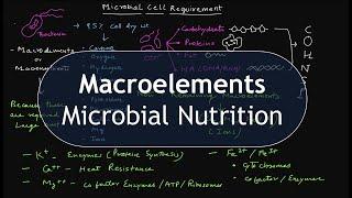 Macroelements | Macronutrients | Microbial Cell Requirements| Basic Science Series