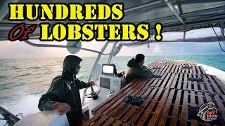 Lobstering in Sketchy Conditions ! Hundreds of Lobsters on Opening Day !