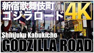 【4K Virtual Tours】Shinjuku Kabukicho GODZILLA ROAD