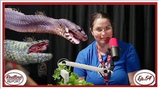 The DANGERS of NOT TESTING your snakes for disease - @holdbackrackpodcast  - Redline Report Ep.54