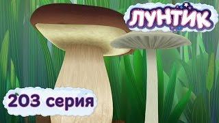 Лунтик и его друзья - 203 серия. Белый гриб