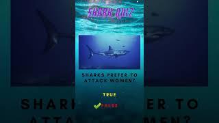 Shark Quiz  - Part 1