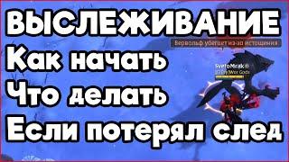 Как начать заниматься выслеживанием? Что делать если не получается выследить зверя?