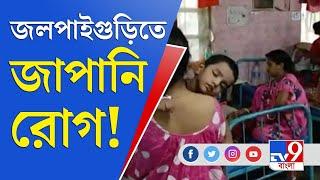 অজানা জ্বরে আক্রান্ত উত্তরবঙ্গ, কলকাতায় নমুনা পরীক্ষা | Japanese Encephalitis | Mosquito Diseases