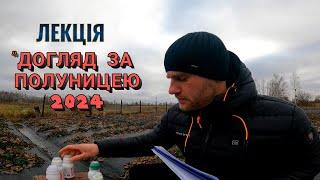 Весна,Літо,Осінь-Чим і Коли її Обробляти?Як Правильно Доглядати за Полуницею Весь СЕЗОН?