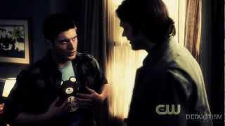team free will | some nights