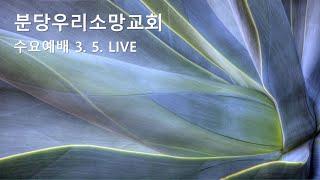 바라는 것 (히 11장 1 ~2절) | 강영석 부목사 | 분당우리소망교회 수요예배live | 2025. 3.5.
