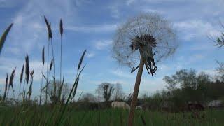 9 Minute Farm Meditation - Guaranteed To Relieve Stress (or your money back!)