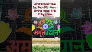 Amrit Udyan Rashtrapati Bhavan | Amrit Udyan 2025 | #amritudyan #amritudyandelhi #tulips